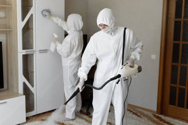 Attic Mold Removal in Phoenix, NY