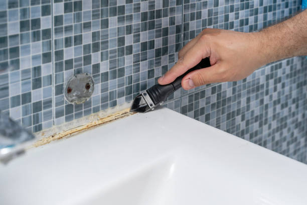 Best Certified Mold Removal  in Phoenix, NY